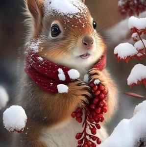 Meet your Posher, Ann